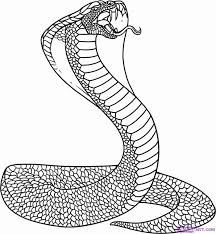 The king cobra is the world's longest venomous snake and has a length up to 5 m. King Cobra Coloring Page Coloring Home