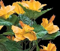 We did not find results for: Hibiscus Plant Artificial Silk Hibiscus Flowers Commercial Silk