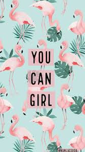 Cute Flamingo Wallpapers On Wallpaperdog