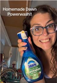 Samantha Mancuso Dawn Cleaning Recipe