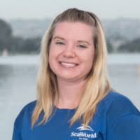 80+ "Johnnie Johnnie" profiles