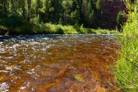 Diy Guide To Fly Fishing The Frying Pan River In Colorado