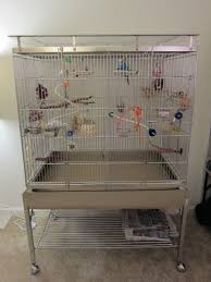 Line up the top of the larger piece with the top of the opening. Budgie Cages How To Set Up Your Parakeet S Cage With Toys And Perches Discount Parrot Supplies