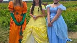 Princesses and Pirates