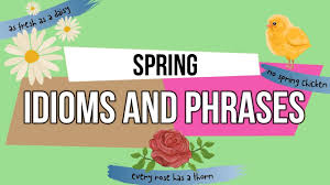 The rose is one of the most famous and beloved of all flowers. Spring Idioms How To English Youtube