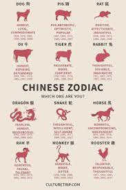 Happy Chinese New Year Which Animal Are You Chinesenumerology Happy Chinese New Year Chinese New Year Zodiac Chinese New Year Activities