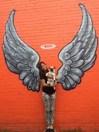 Graffiti Street Art Brisbane Dog Art Culture Free Street Art Graffiti Murals Street Art Graffiti Wall Art