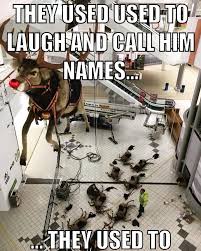 Rudolf Reindeer Meme Funny Pictures Laugh Funny Memes