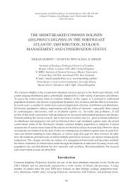 Amaury sport organisation a s o, société anonyme. Pdf The Short Beaked Common Dolphin Delphinus Delphis In The North Eastern Atlantic Distribution Ecology Management And Conservation Status