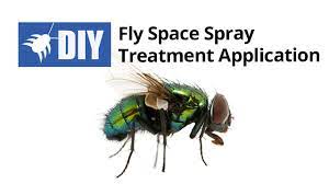 Filth flies include some of our most common fly pests — house flies, fruit flies, green bottle flies, stable flies, and several others. How To Get Rid Of Flies Kill Flies Diy Fly Control