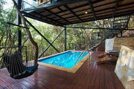 Private Plunge Pool Machan Tree House Resort Tree House Hotel
