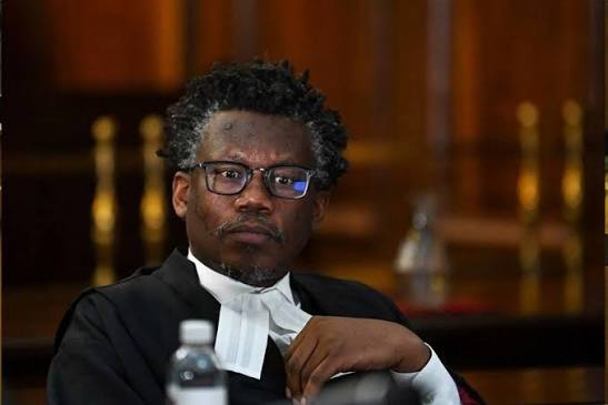 Acclaimed advocate, legal scholar Ngcukaitobi appointed honorary prof at Walter Sisulu University | News24