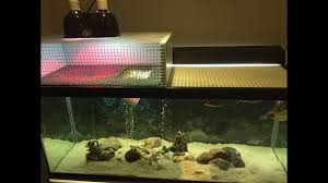 How I Built My Turtle Basking Dock Check The Description For The Mater Turtle Tank Turtle Aquarium Turtle Habitat