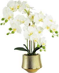 Maybe you would like to learn more about one of these? Buy Artificial Flowers Fake Orchids In Gold Ceramic Vase Phalaenopsis White Flowers Artificial Plants Faux Flowers For Decoration Home Office Party Table Decor Online In Taiwan B08v919pvn