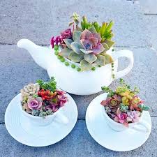 60 Diy Indoor Sukkulenten Arrangements Ideen 2019 Alles Fur Den Garten Alles Arrangemen In 2020 Succulent Arrangements Diy Succulent Arrangements Succulents Indoor