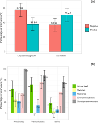 Image result for Digitaria pseudodiagonalis