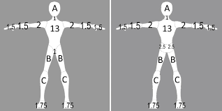 Case Based Pediatrics Chapter