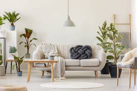 Large foliage and variegated plants. 10 Best Indoor Trees For A Happier Home Top Indoor Trees To Buy