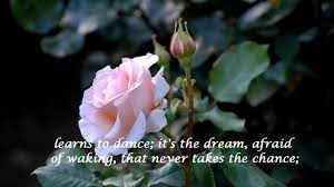 Some say love, it is a hunger, an endless aching need. The Rose Bette Midler Hd With Lyrics Hq Audio Youtube