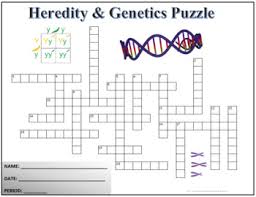 Heredity and genetics crossword puzzle answers. Heredity Genetics Science Crossword Puzzle Activity Worksheet Tpt
