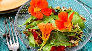 Flowers you can eat in salad. Grow Flowers You Can Eat At Home University Of HawaiÊ»i System News