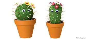 I haven't tried, but i'd imagine it'd have the same effect. Grow A Cactus Garden From Socks Nwf Ranger Rick