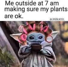 60 Plant Memes For You To Dig Through Gardening Memes Plant Jokes Yoda Meme