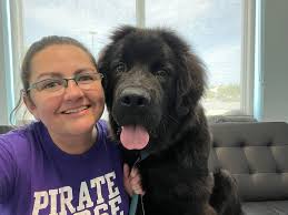 Hi around what weight are your male adult Newfie's?