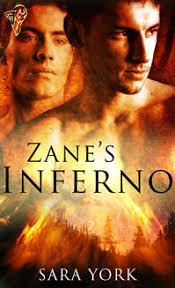 Zane's Inferno by Sara York