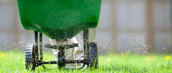 Evergreen lawn & pest control. Evergreen Lawn Pest Control 1200 Tilden Ave Apopka Fl 32703 Usa