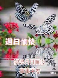 假日問候語– Aquarhead