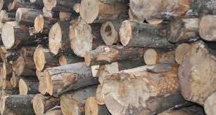 This includes splitting the wood, stacking it off the ground and keeping it properly covered. Seasoned Firewood Borders Firewood