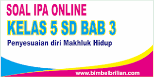 Kelompok makhluk hidup dibawah ini yang memiliki hubungan perkerabatan yang dekat adalah … 1. Soal Ipa Online Kelas 5 Sd Bab 3 Penyesuaian Diri Makhluk Hidup Langsung Ada Nilainya Bimbel Brilian