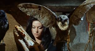 Kill Baby Kill 1966 Frame Rated