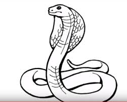 Learn to find inspiration in the moment with thousands of creative classes. How To Draw A Snake For Kids Archives How To Draw Step By Step