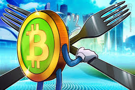 Sometimes electron cash will not automatically find an sv server (there are only very few working at the moment) and you have to choose one from the server tab. Opposing Bitcoin Abc And Bitcoin Sv Factions Debates Grow Heated As The Bitcoin Cash Hard Fork Draws Closer