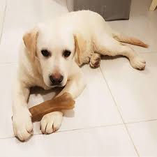 221 次赞、 6 条评论