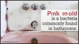 What Is Pink Mold And Is It Harmful Home Quicks