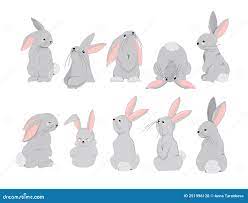 набор символов кроликов. символ 2023 года. год кролика. симпатичный заяц,  изолированный на белой иллюстрации Иллюстрация вектора - иллюстрации  насчитывающей шуточно, ангстрома: 251996120