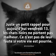 Tous Les Jours Decouvrez De Nouvelles Infos Pour Briller En Societe Citations Humour Humor Inappropriate Humor
