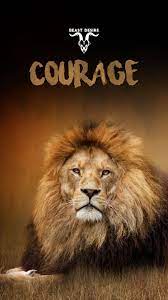 If you're in search of the best best motivational wallpapers, you've come to the right place. Beast Desire Wallpaper Motivational Quotes Wallpaper Inspirational Quotes Wallpapers Beast Quotes