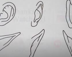 Instead of matching three identical tiles, you'll only have to match two. How To Draw Puppy Ears Archives How To Draw Step By Step