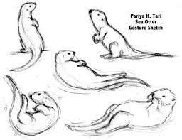 Pin On Ollie The Otter