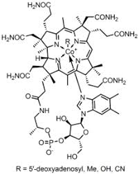 organic chemistry wikipedia