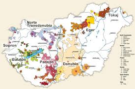 Está situado en la llanura panónica y tiene fronteras con eslovaquia por el norte, con ucrania y rumanía por el este, con serbia y croacia por el sur, con eslovenia por el suroeste y con austria por el oeste. Regioes Vinicolas Da Hungria