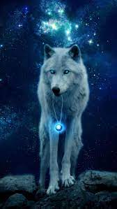 Wallpapers Digital Art Art Arctic Wolf Canis Lupus Tundrarum Dog Like Mammal Arctic Art Canis Dig Wolf Spirit Animal Wolf Wallpaper Wolf Art Fantasy