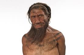 Bringing a Neanderthal to life: the making of our model | Natural History  Museum