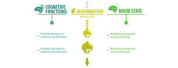 Hydration Mood State And Cognitive Function Hydration For