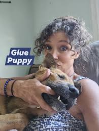 Custom-made belly bands for senior dogs with leaky issues