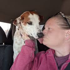 Female dog needs home in North Texas